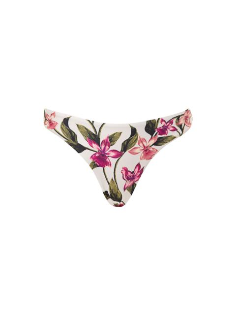 Berilo Pasado Bikini Bottom