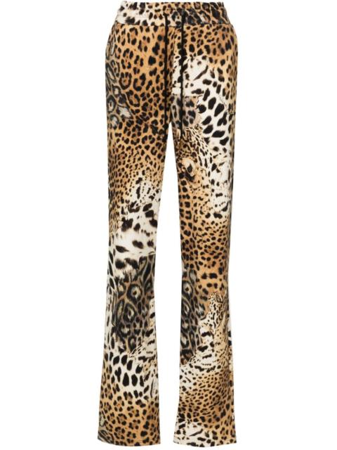 Jaguar Skin-print cotton track pants