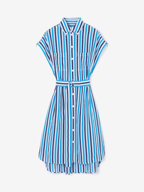 Striped Silk Shirt Dress