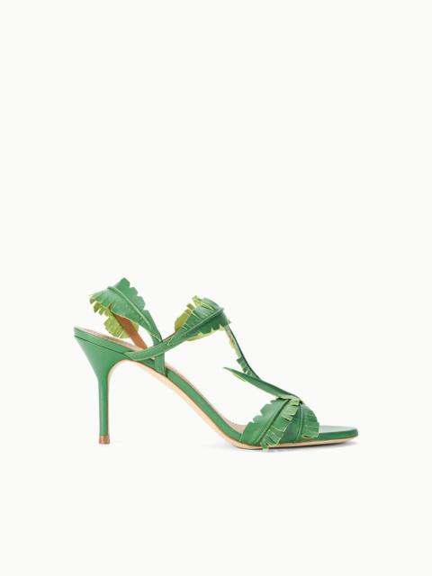 STAUD PALM HEEL LEAF