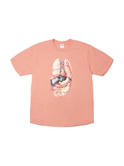 Supreme Guts Tee Terra Cotta