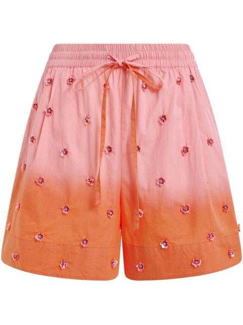 Hichigan shorts