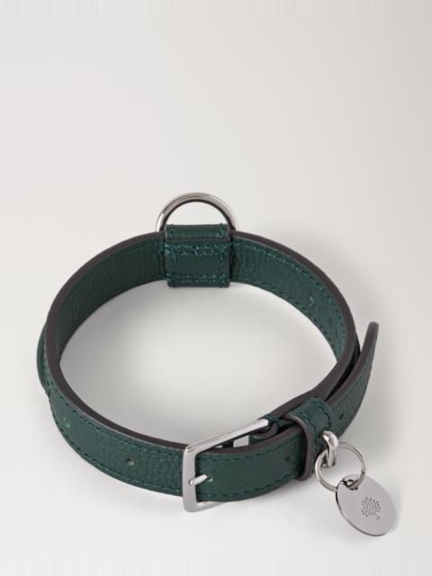 Small Leather Dog Collar
Mulberry Green Small Classic Grain