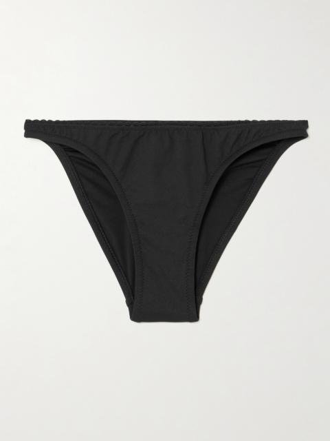 Pompano Scalloped Bikini Briefs