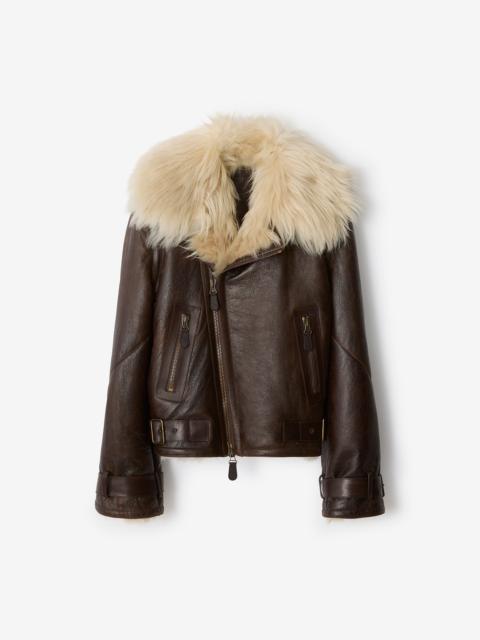 Cropped Shearling Aviator Jacket