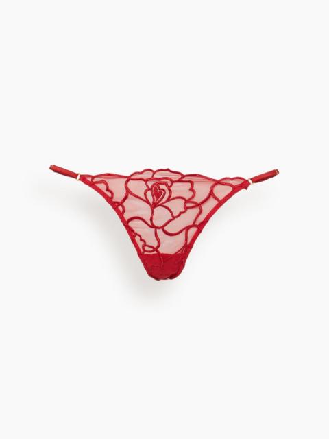 Petite Chou Embroidery Thong in Red