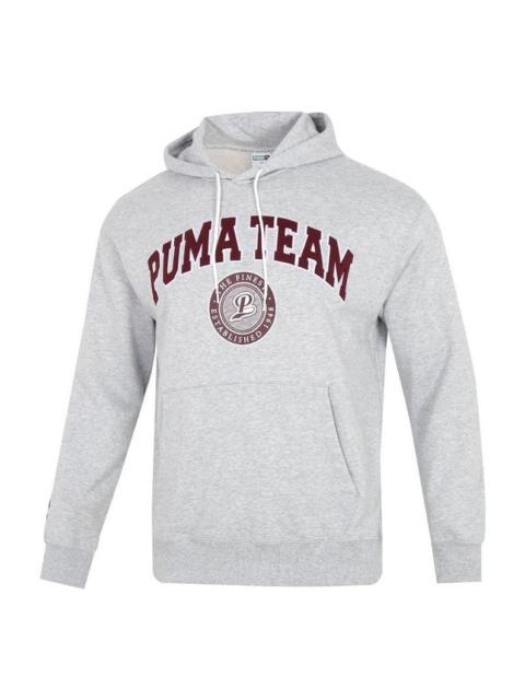 PUMA Team Hoodie 'Grey' 539274-04