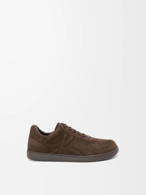 Jambo sneaker in suede calfskin