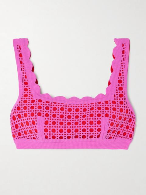 Palm Springs Scalloped Laser-cut Seersucker Bikini Top