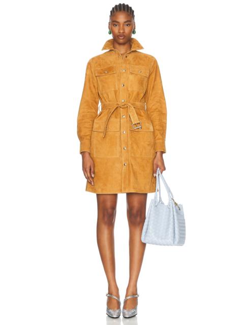 Leather Belted Dress