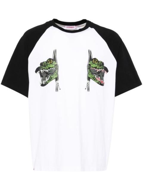 graphic raglan T-shirt