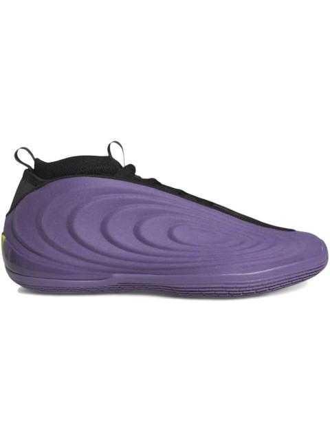 adidas Harden Vol. 10 Matte Purple